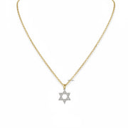 Rayna star of david necklace silver pave pendant on gold link chain Love Lisa