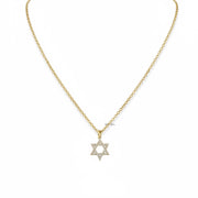 Rayna star of david necklace gold pave pendant on link chain Love Lisa