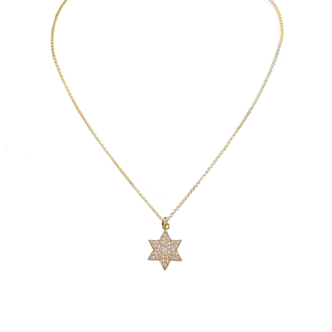 Amy's Stunning Star of David Necklace