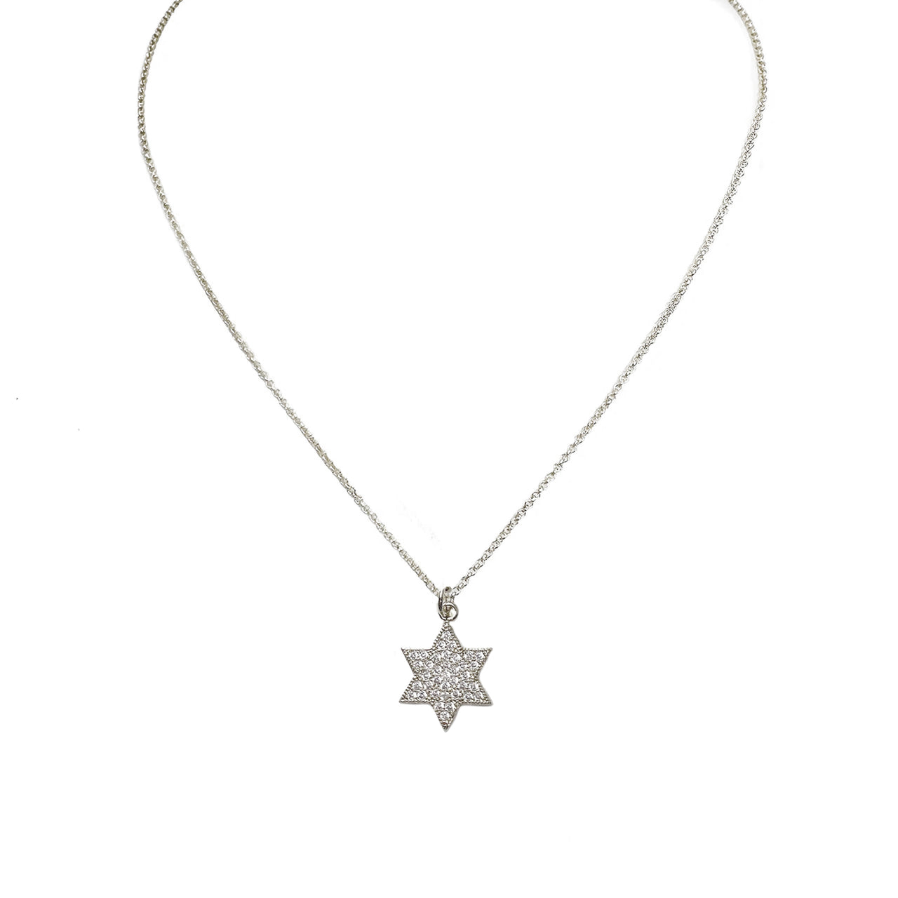 Amy's Stunning Star of David Necklace